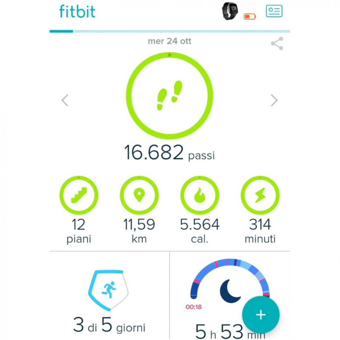 8.1-fitbit-formato-blog